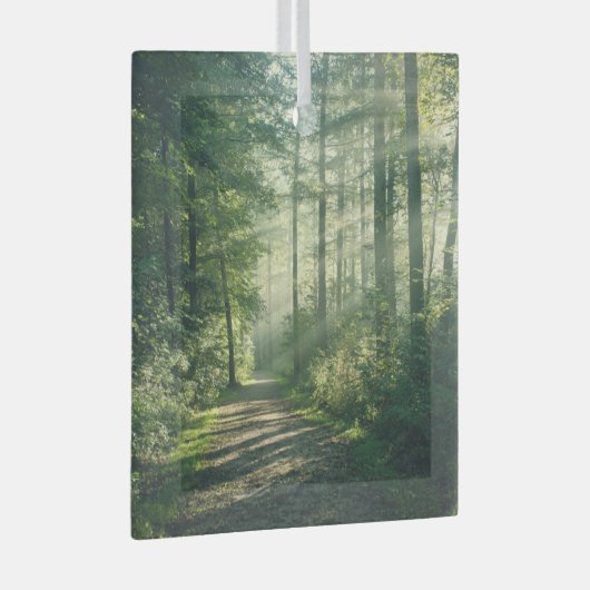 Forces | Forest Path Hamburg Germany Glas Ornament (Voorkant Rechts)