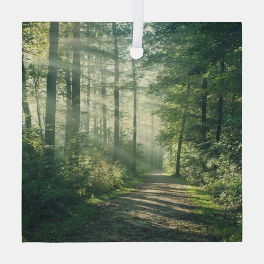 Forces | Forest Path Hamburg Germany Glas Ornament (Achterkant)