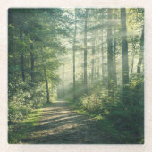 Forces | Forest Path Hamburg Germany Glazen Onderzetter (Voorkant)