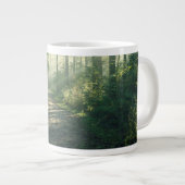 Forces | Forest Path Hamburg Germany Grote Koffiekop (Voorkant rechts)