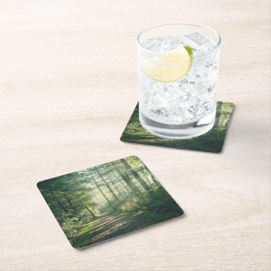 Forces | Forest Path Hamburg Germany Kartonnen Onderzetters (Insitu)