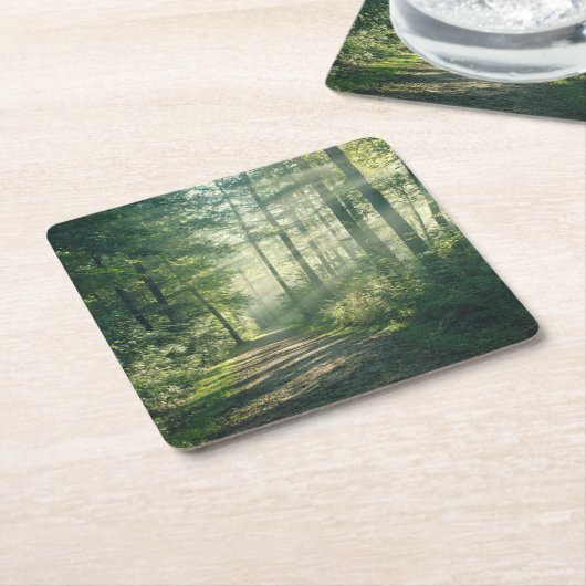 Forces | Forest Path Hamburg Germany Kartonnen Onderzetters (Schuin)