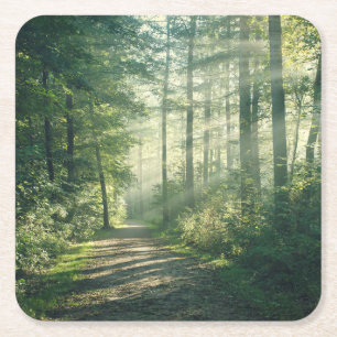 Forces Forest Path Hamburg Germany Kartonnen Onderzetters