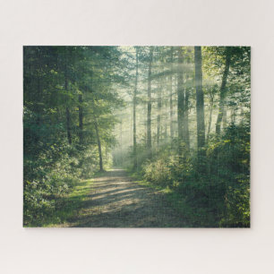 Forces Forest Path Hamburg Germany Legpuzzel