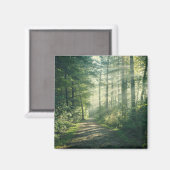 Forces | Forest Path Hamburg Germany Magneet (Voorkant / Achterkant)
