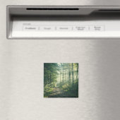 Forces | Forest Path Hamburg Germany Magneet (Insitu (Vaatwasser))