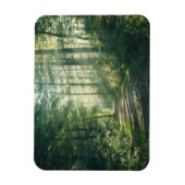 Forces | Forest Path Hamburg Germany Magneet (Verticaal)