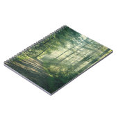 Forces | Forest Path Hamburg Germany Notitieboek (Linkerzijde)