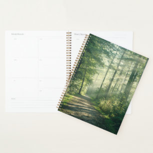 Forces Forest Path Hamburg Germany Planner