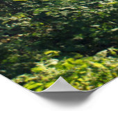 Forces | Forest Path Hamburg Germany Poster (Hoek)