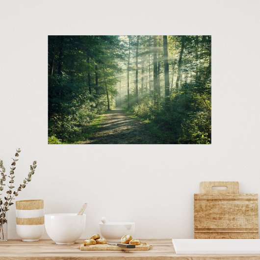 Forces | Forest Path Hamburg Germany Poster (Keuken)