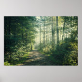 Forces | Forest Path Hamburg Germany Poster (Voorkant)