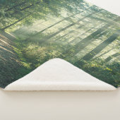 Forces | Forest Path Hamburg Germany Sherpa Deken (3/4)