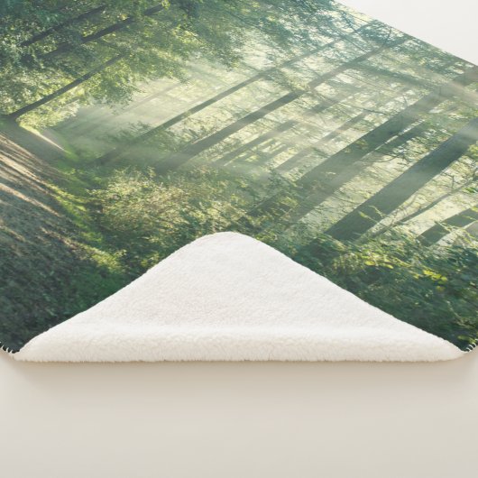 Forces | Forest Path Hamburg Germany Sherpa Deken (3/4)