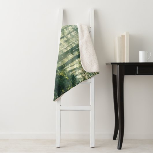 Forces | Forest Path Hamburg Germany Sherpa Deken (In situ)