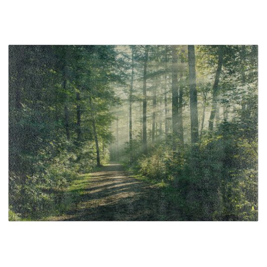 Forces | Forest Path Hamburg Germany Snijplank (Voorkant)