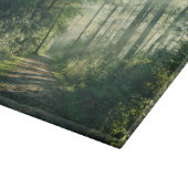 Forces | Forest Path Hamburg Germany Snijplank (Hoek)