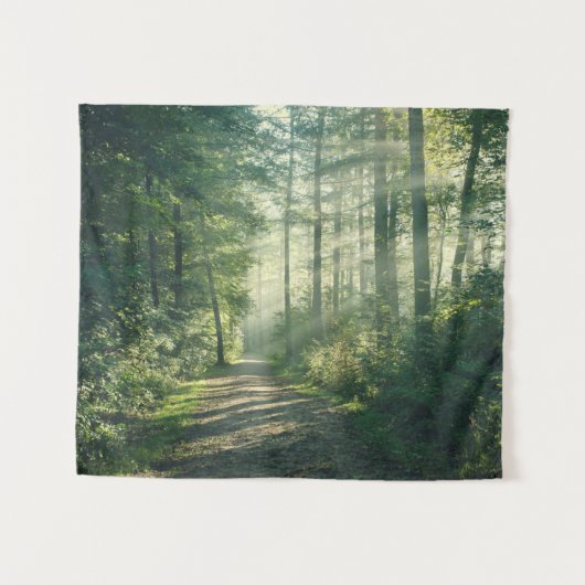 Forces | Forest Path Hamburg Germany Wandkleed (Voorkant (horizontaal))