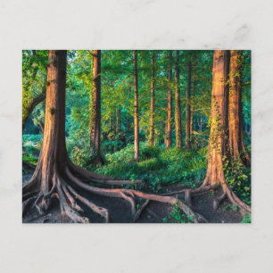 Forces Greenery & Woodland Briefkaart