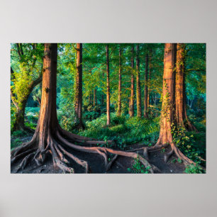 Forces Greenery & Woodland Poster