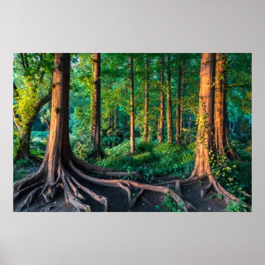 Forces Greenery & Woodland Poster (Voorkant)