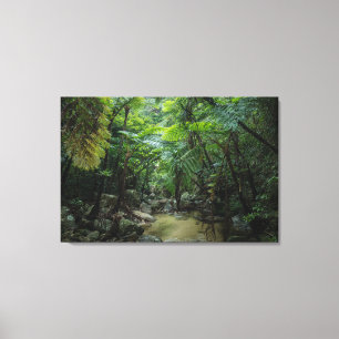 Forces Iriomote Ishigaki National Park Canvas Afdruk