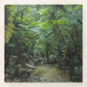 Forces Iriomote Ishigaki National Park Glazen Onderzetter (Voorkant)