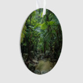 Forces Iriomote Ishigaki National Park Ornament (voorkant)