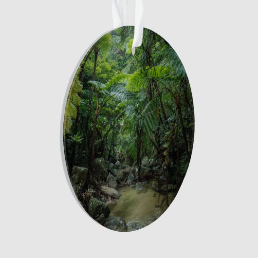 Forces Iriomote Ishigaki National Park Ornament (voorkant)