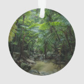 Forces Iriomote Ishigaki National Park Ornament (achterkant)