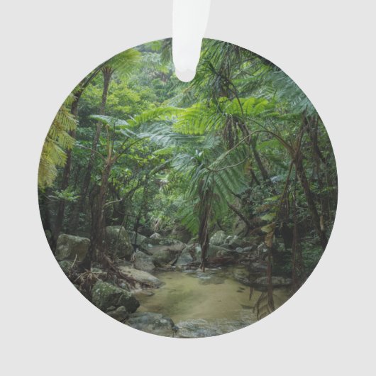 Forces Iriomote Ishigaki National Park Ornament (voorkant)