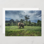 Forces Kao Sok National Park Bedankkaart (Voorkant / Achterkant)