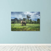 Forces Kao Sok National Park Canvas Afdruk (Insitu (Houten vloer))