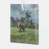 Forces Kao Sok National Park Glas Ornament (Voorkant links)