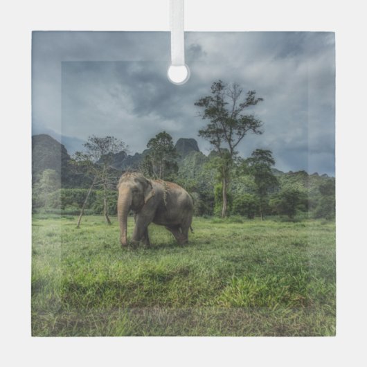 Forces Kao Sok National Park Glas Ornament (Voorkant)