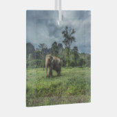 Forces Kao Sok National Park Glas Ornament (Voorkant Rechts)