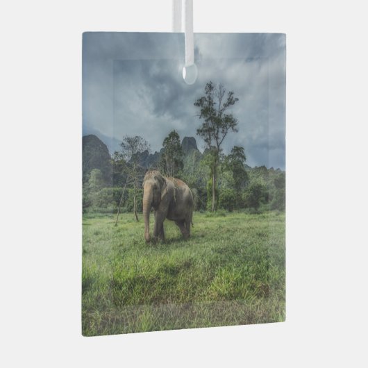 Forces Kao Sok National Park Glas Ornament (Voorkant Rechts)