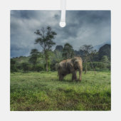 Forces Kao Sok National Park Glas Ornament (Achterkant)