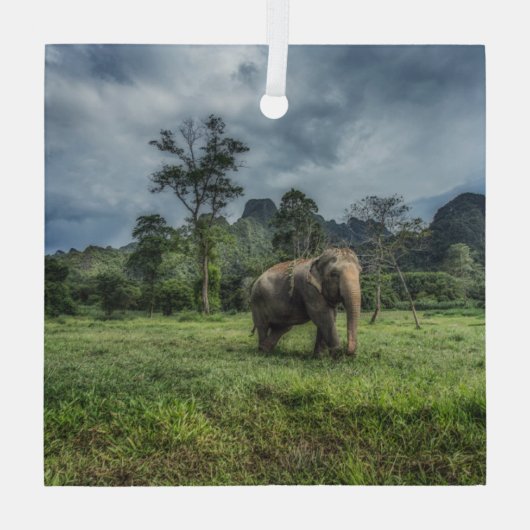 Forces Kao Sok National Park Glas Ornament (Achterkant)