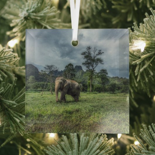 Forces Kao Sok National Park Glas Ornament (Insitu)