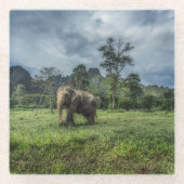 Forces Kao Sok National Park Glazen Onderzetter (Voorkant)