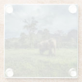 Forces Kao Sok National Park Glazen Onderzetter (Achterkant)