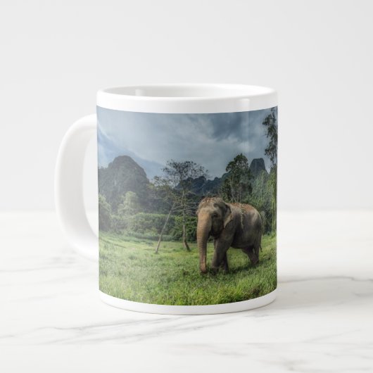 Forces Kao Sok National Park Grote Koffiekop (Links)