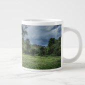 Forces Kao Sok National Park Grote Koffiekop (Rechts)