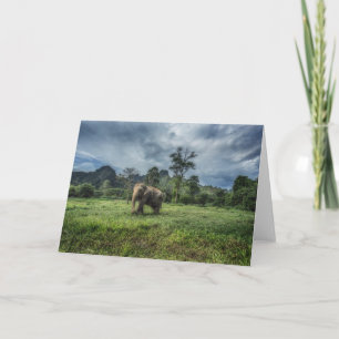 Forces Kao Sok National Park Kaart