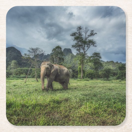 Forces Kao Sok National Park Kartonnen Onderzetters (Voorkant)