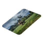 Forces Kao Sok National Park Magneet (Linkerzijde)