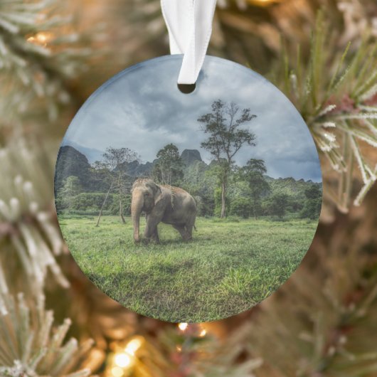 Forces Kao Sok National Park Ornament (Boom)