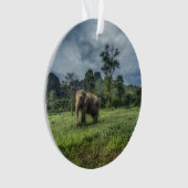 Forces Kao Sok National Park Ornament (voorkant)