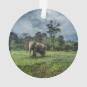 Forces Kao Sok National Park Ornament (achterkant)